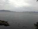 ./images/koeye/fitz-hugh/20141002/fitz-hugh20141002_114502.jpg