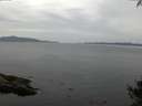 ./images/koeye/fitz-hugh/20141002/fitz-hugh20141002_115002.jpg