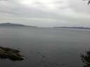 ./images/koeye/fitz-hugh/20141002/fitz-hugh20141002_115502.jpg