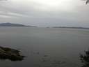 ./images/koeye/fitz-hugh/20141002/fitz-hugh20141002_121003.jpg