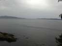 ./images/koeye/fitz-hugh/20141002/fitz-hugh20141002_123502.jpg