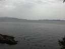 ./images/koeye/fitz-hugh/20141002/fitz-hugh20141002_131002.jpg