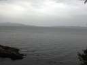 ./images/koeye/fitz-hugh/20141002/fitz-hugh20141002_132002.jpg