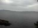 ./images/koeye/fitz-hugh/20141002/fitz-hugh20141002_133501.jpg