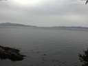 ./images/koeye/fitz-hugh/20141002/fitz-hugh20141002_135002.jpg
