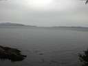 ./images/koeye/fitz-hugh/20141002/fitz-hugh20141002_135503.jpg