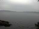 ./images/koeye/fitz-hugh/20141002/fitz-hugh20141002_140002.jpg