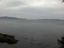 ./images/koeye/fitz-hugh/20141002/fitz-hugh20141002_144003.jpg