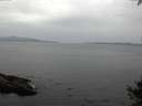 ./images/koeye/fitz-hugh/20141002/fitz-hugh20141002_151501.jpg