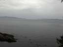 ./images/koeye/fitz-hugh/20141002/fitz-hugh20141002_152002.jpg