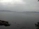 ./images/koeye/fitz-hugh/20141002/fitz-hugh20141002_154001.jpg