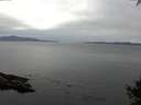 ./images/koeye/fitz-hugh/20141002/fitz-hugh20141002_162502.jpg