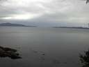 ./images/koeye/fitz-hugh/20141002/fitz-hugh20141002_163503.jpg