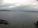 ./images/koeye/fitz-hugh/20141002/fitz-hugh20141002_165003.jpg