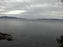./images/koeye/fitz-hugh/20141002/fitz-hugh20141002_170502.jpg