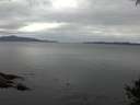 ./images/koeye/fitz-hugh/20141002/fitz-hugh20141002_171503.jpg