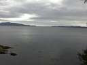 ./images/koeye/fitz-hugh/20141002/fitz-hugh20141002_174001.jpg