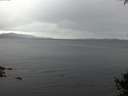 ./images/koeye/fitz-hugh/20141002/fitz-hugh20141002_192503.jpg