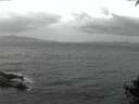 ./images/koeye/fitz-hugh/20141003/fitz-hugh20141003_070502.jpg