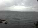 ./images/koeye/fitz-hugh/20141003/fitz-hugh20141003_073502.jpg