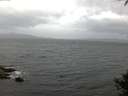 ./images/koeye/fitz-hugh/20141003/fitz-hugh20141003_074002.jpg