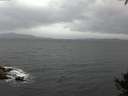 ./images/koeye/fitz-hugh/20141003/fitz-hugh20141003_074503.jpg
