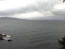 ./images/koeye/fitz-hugh/20141003/fitz-hugh20141003_080502.jpg