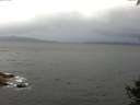 ./images/koeye/fitz-hugh/20141003/fitz-hugh20141003_081001.jpg