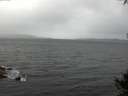 ./images/koeye/fitz-hugh/20141003/fitz-hugh20141003_082002.jpg