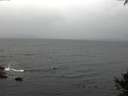 ./images/koeye/fitz-hugh/20141003/fitz-hugh20141003_082502.jpg