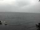 ./images/koeye/fitz-hugh/20141003/fitz-hugh20141003_090501.jpg