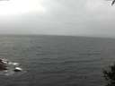 ./images/koeye/fitz-hugh/20141003/fitz-hugh20141003_091003.jpg