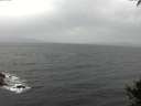 ./images/koeye/fitz-hugh/20141003/fitz-hugh20141003_094003.jpg