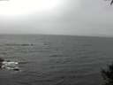 ./images/koeye/fitz-hugh/20141003/fitz-hugh20141003_094503.jpg