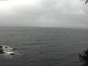 ./images/koeye/fitz-hugh/20141003/fitz-hugh20141003_095003.jpg