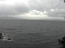./images/koeye/fitz-hugh/20141003/fitz-hugh20141003_101003.jpg