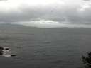 ./images/koeye/fitz-hugh/20141003/fitz-hugh20141003_102002.jpg