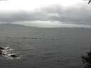 ./images/koeye/fitz-hugh/20141003/fitz-hugh20141003_102502.jpg