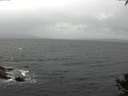 ./images/koeye/fitz-hugh/20141003/fitz-hugh20141003_105002.jpg