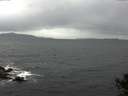 ./images/koeye/fitz-hugh/20141003/fitz-hugh20141003_111502.jpg