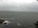 ./images/koeye/fitz-hugh/20141003/fitz-hugh20141003_115002.jpg