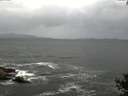./images/koeye/fitz-hugh/20141003/fitz-hugh20141003_121002.jpg