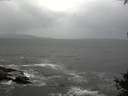 ./images/koeye/fitz-hugh/20141003/fitz-hugh20141003_121503.jpg