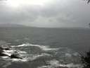 ./images/koeye/fitz-hugh/20141003/fitz-hugh20141003_122002.jpg