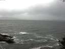 ./images/koeye/fitz-hugh/20141003/fitz-hugh20141003_130502.jpg