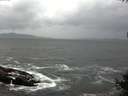./images/koeye/fitz-hugh/20141003/fitz-hugh20141003_140003.jpg