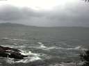 ./images/koeye/fitz-hugh/20141003/fitz-hugh20141003_140502.jpg