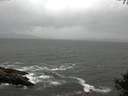 ./images/koeye/fitz-hugh/20141003/fitz-hugh20141003_151002.jpg