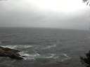 ./images/koeye/fitz-hugh/20141003/fitz-hugh20141003_163502.jpg