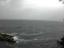 ./images/koeye/fitz-hugh/20141003/fitz-hugh20141003_164003.jpg